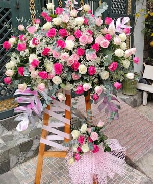 dien-hoa-da-lat-hoa-khai-truong-tai-da-lat-300x360